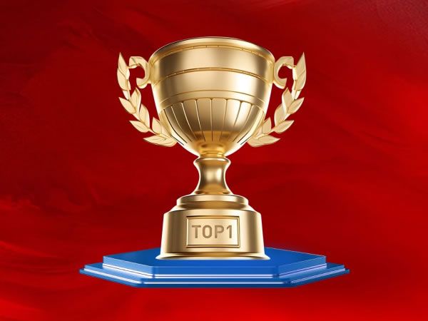 喜报！我院在第十五届蓝桥杯大赛中斩获佳绩